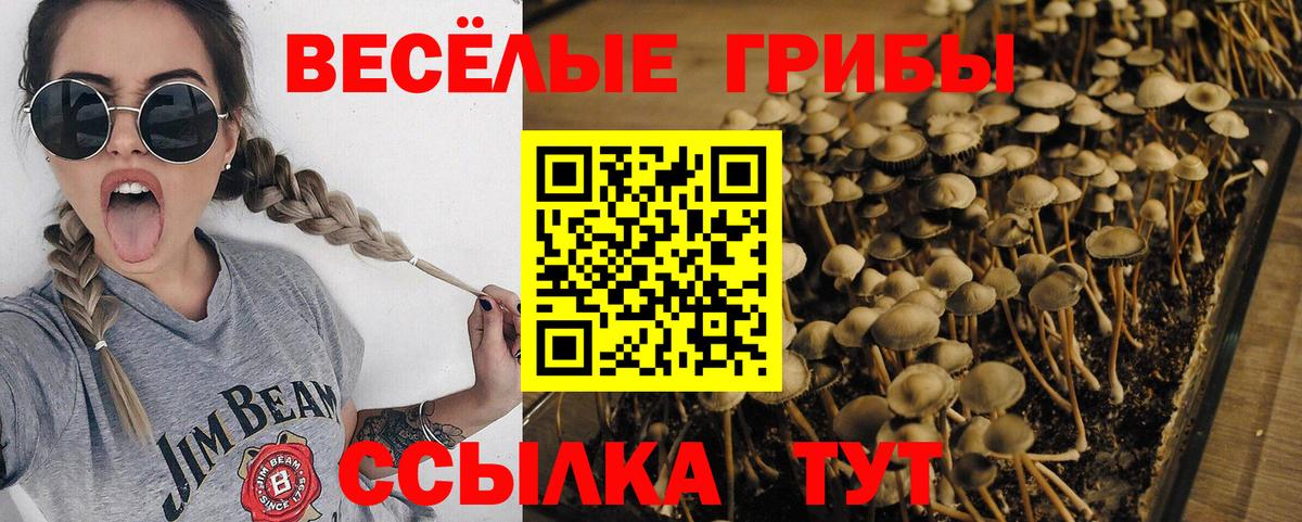 Галлюциногенные грибы мицелий Сатка